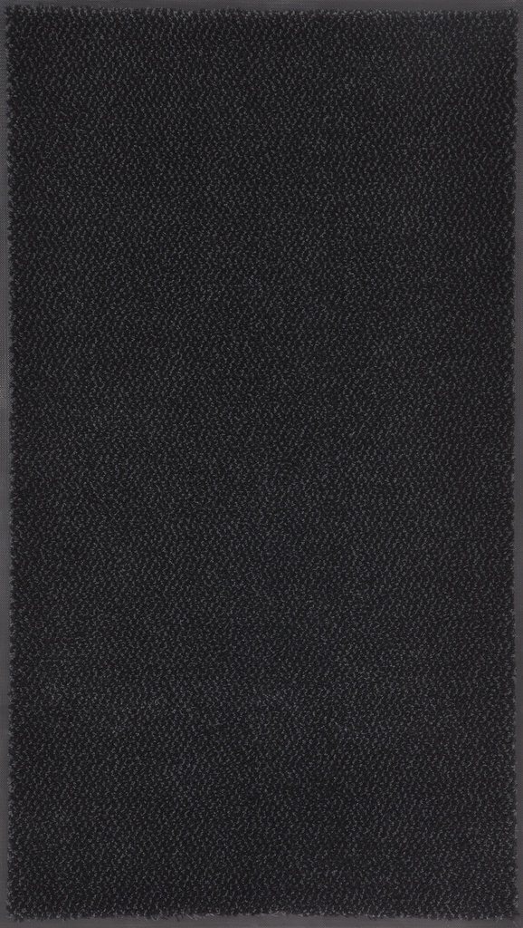 Tapis d'entrée intérieur professionel Micromix