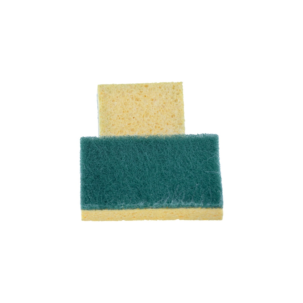 Nicols Brix With Sponge 74 