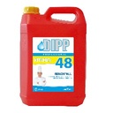 Dipp n°48 - 2x5L Renov'ALL 